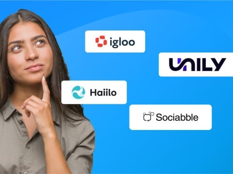 sociabble-alternative-articles-Igloo