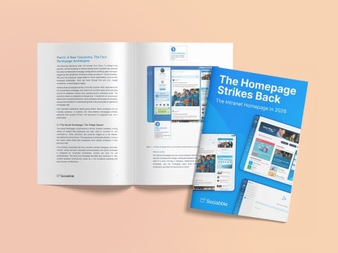 The Homepage Strickes Back eBook
